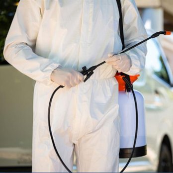 Termin 8 Pest Control - Pest Control Near Me - Murrieta, California Termin 8 Pest Control - Pest Control Near Me - Murrieta, California