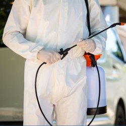Termin 8 Pest Control