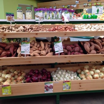 Natural Grocers - Onions, potatoes, garlic, shallots. (The root family!) - Grocery Near Me - Temple, Texas Natural Grocers - Onions, potatoes, garlic, shallots. (The root family!) - Grocery Near Me - Temple, Texas