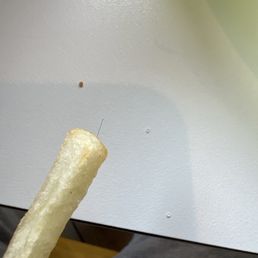hair in fry hair in fry