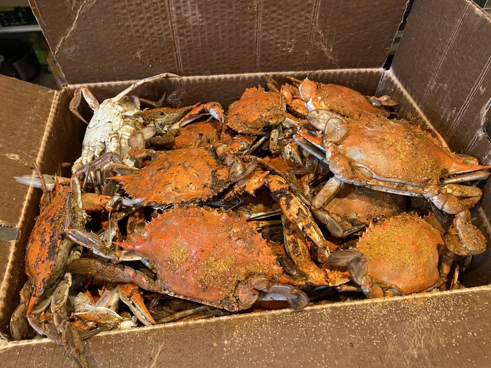 DIXIE JOE’S CRAB SHACK Updated October 2024 45 Photos & 22 Reviews 7940 Rebel Rd