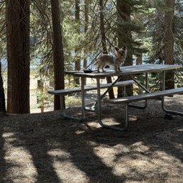 Our gorgeous spot next to the lake!