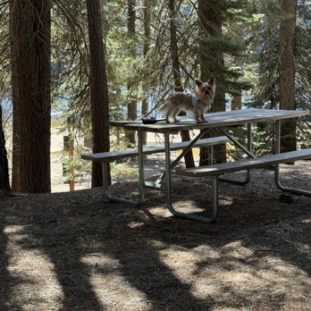 Thousand Trails Snowflower - Our gorgeous spot next to the lake! - Campgrounds Near Me - Emigrant Gap, California