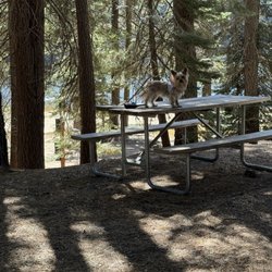 Thousand Trails Snowflower - Our gorgeous spot next to the lake!