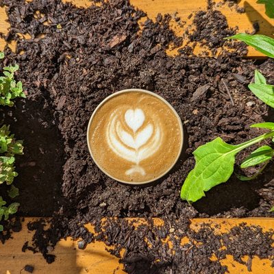 Onyx Tonics Specialty Coffee by null