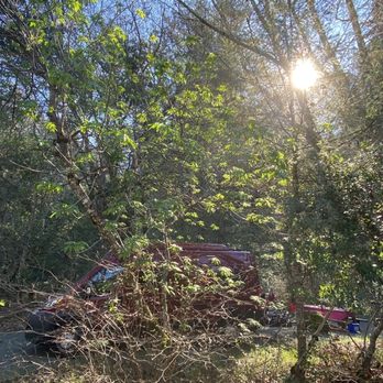Bothe-Napa Valley State Park - Big private campsite. #10 backed onto the creek - Parks Near Me - Calistoga, California Bothe-Napa Valley State Park - Big private campsite. #10 backed onto the creek - Parks Near Me - Calistoga, California