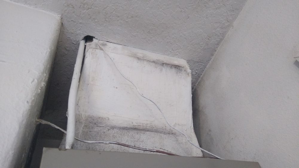 Enviro-Hazard Testing - mold inspector in Mount Dora, FL