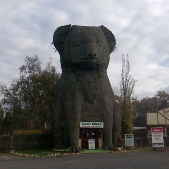 Giant Koala Restaurant Tourist Complex - Koala - Restaurants Near Me - Dadswells Bridge, VIC Giant Koala Restaurant Tourist Complex - Koala - Restaurants Near Me - Dadswells Bridge, VIC