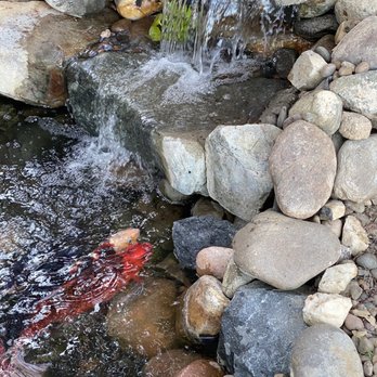 Timeless Ponds and Fountains - A clean pond & happy fish - Landscape Architects or Designers Near Me Timeless Ponds and Fountains - A clean pond & happy fish - Landscape Architects or Designers Near Me
