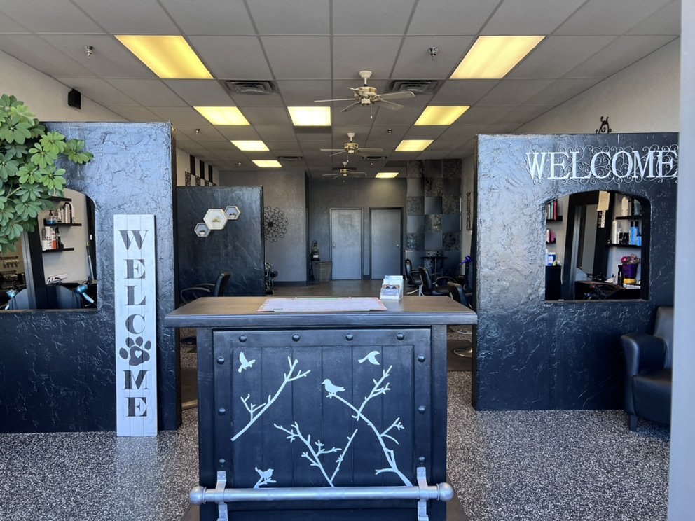 SASSY SHEARS Updated October 2024 20 Photos 133 Fontaine Blvd