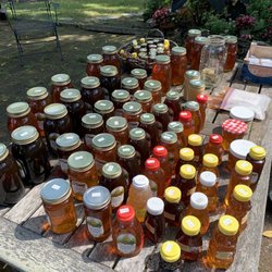 Hall’s Honey Farm - Table with all of the different types of honey