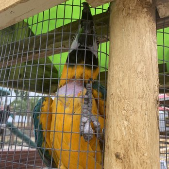 Mya's Farm - Amusement Parks Near Me - Miami, Florida
