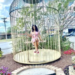 Giant Bird Cage