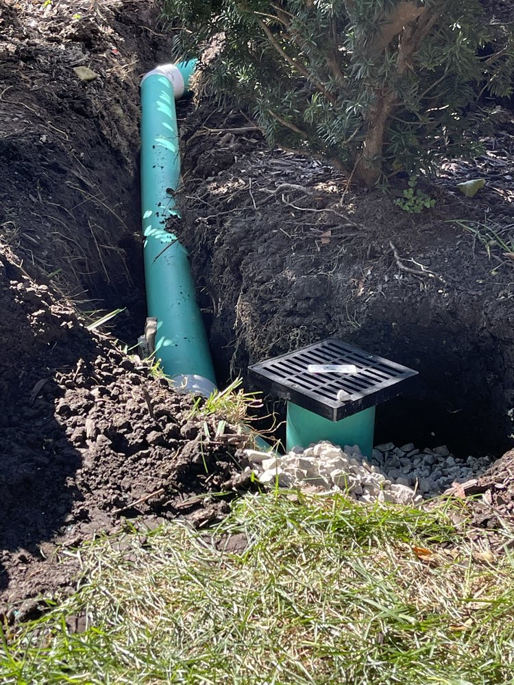 Slide of The Fair Plumber