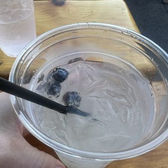 Boothbay Lobster Wharf - "Blueberry" lemonade - Seafood Near Me - Boothbay Harbor, Maine