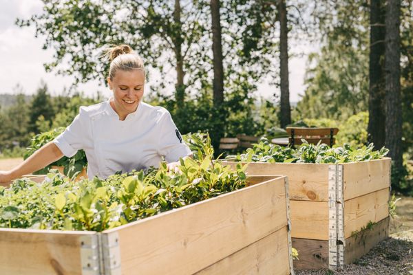 Sigtunahöjden by null