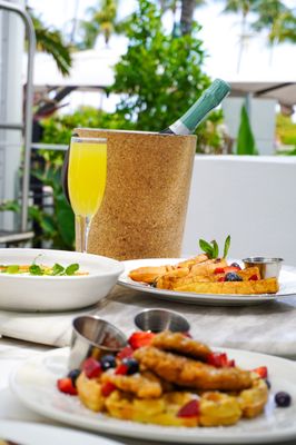 Meet Dalia - Mediterranean restaurant in Miami Beach by null