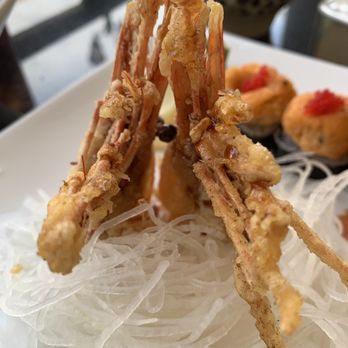Sakari Sushi - Tempura Shrimp Heads - Japanese Near Me - Winter Park, Florida Sakari Sushi - Tempura Shrimp Heads - Japanese Near Me - Winter Park, Florida