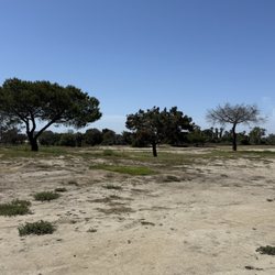 Victoria Golf Course - Quality of course