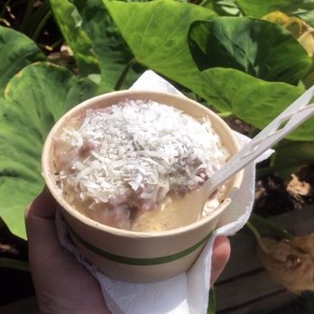 Kalo Bombs - Best Seller!! - Ice Cream & Frozen Yogurt Near Me - Waianae, Hawaii Kalo Bombs - Best Seller!! - Ice Cream & Frozen Yogurt Near Me - Waianae, Hawaii