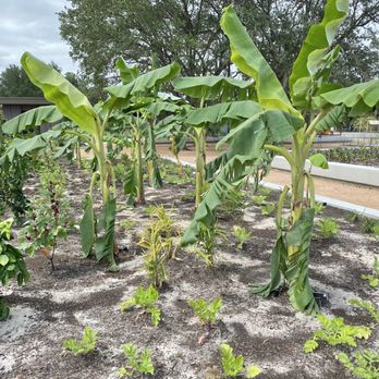 Houston Botanic Garden - Venues & Event Spaces Near Me - Houston, Texas Houston Botanic Garden - Venues & Event Spaces Near Me - Houston, Texas