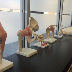 Elite Physical Therapy