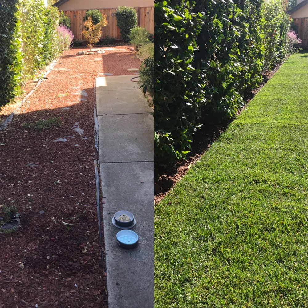 All Green Scape - Pic took two days after installation, love the outcomes! - Landscaping Near Me