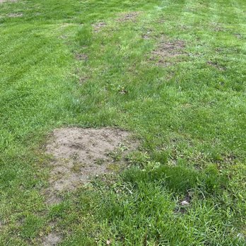 MG Services - Lawn Services Near Me MG Services - Lawn Services Near Me