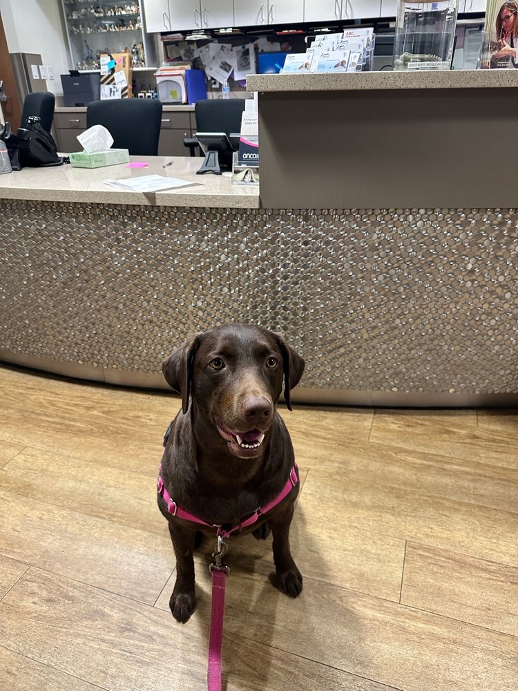 EVANS EAST ANIMAL HOSPITAL Updated September 2024 33 Photos & 153