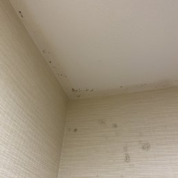 Mold in the bathroom Mold in the bathroom