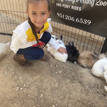 Itty Bitty Mobile Petting Zoo - Petting Zoos Near Me Itty Bitty Mobile Petting Zoo - Petting Zoos Near Me
