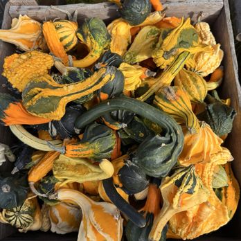Cucumber Hill Farm - Farms Near Me - Foster, Rhode Island