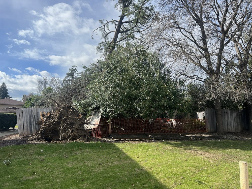 C & C PROPERTY MANAGEMENT Updated September 2024 500 Merchant St