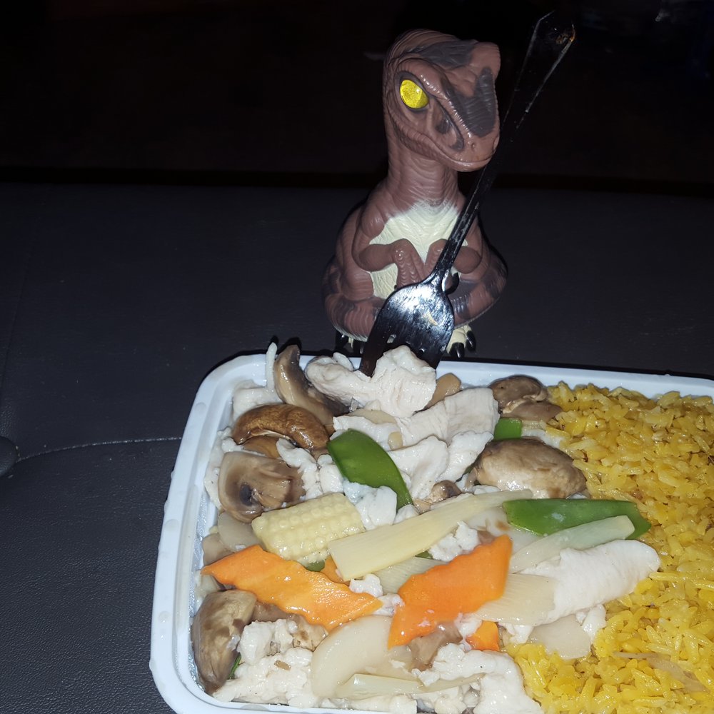 Li Garden - Bob the Raptor Says "This is Moo Google Gui Pan Prey... the delivery mammal was quick." - Chinese Near Me - Eastlake, Ohio Li Garden - Bob the Raptor Says "This is Moo Google Gui Pan Prey... the delivery mammal was quick." - Chinese Near Me - Eastlake, Ohio
