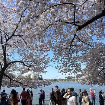 Tidal Basin - Lakes Near Me - Washington, DC, District of Columbia
