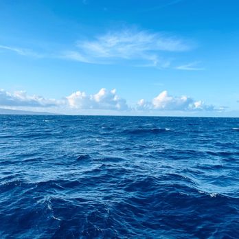 Trilogy Excursions - Snorkeling Near Me - Lahaina, Hawaii