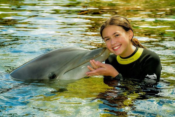 Discovery Cove by null