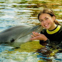 Discovery Cove