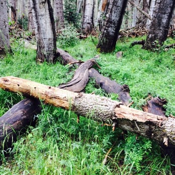 Humphrey's Trail - Hiking Near Me - Flagstaff, Arizona
