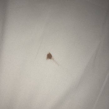 Great Wolf Lodge - Soooooooo I'm not sure what this is but I'm sure it's blood and this is disgusting - Resorts Near Me - Mason, Ohio Great Wolf Lodge - Soooooooo I'm not sure what this is but I'm sure it's blood and this is disgusting - Resorts Near Me - Mason, Ohio