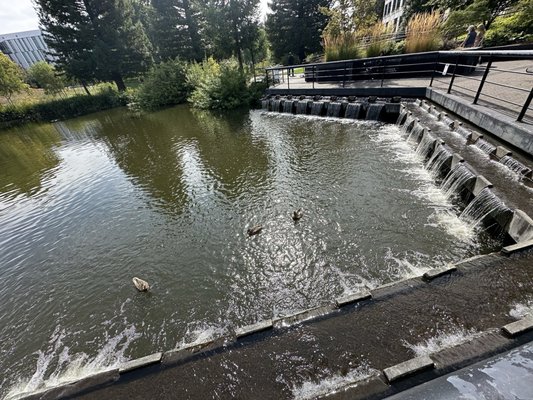 Hillsboro Brookwood Library by null