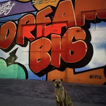 A-Team Dog Training - Pet Training Near Me