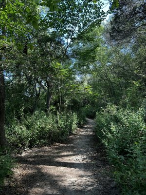 Barton Creek Greenbelt by null
