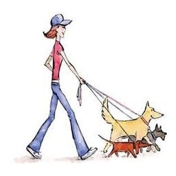 Home Away Home Care Services - Dog Walkers Near Me Home Away Home Care Services - Dog Walkers Near Me
