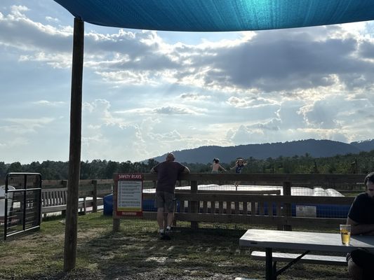 Justus Orchard by null