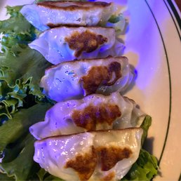 Gyoza