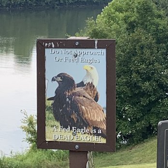 Fort Donelson National Battlefield - Leave the Bald Eagles alone - Landmarks & Historical Buildings Near Me - Dover, Tennessee Fort Donelson National Battlefield - Leave the Bald Eagles alone - Landmarks & Historical Buildings Near Me - Dover, Tennessee