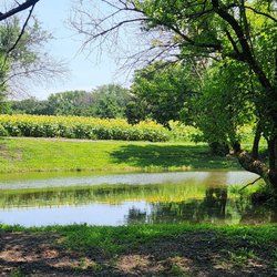 Red Barn Ranch
