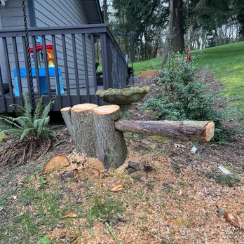 Erik Nye the Tree Guy - Tree Services Near Me - Seattle, Washington Erik Nye the Tree Guy - Tree Services Near Me - Seattle, Washington