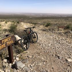 Trek El Paso East